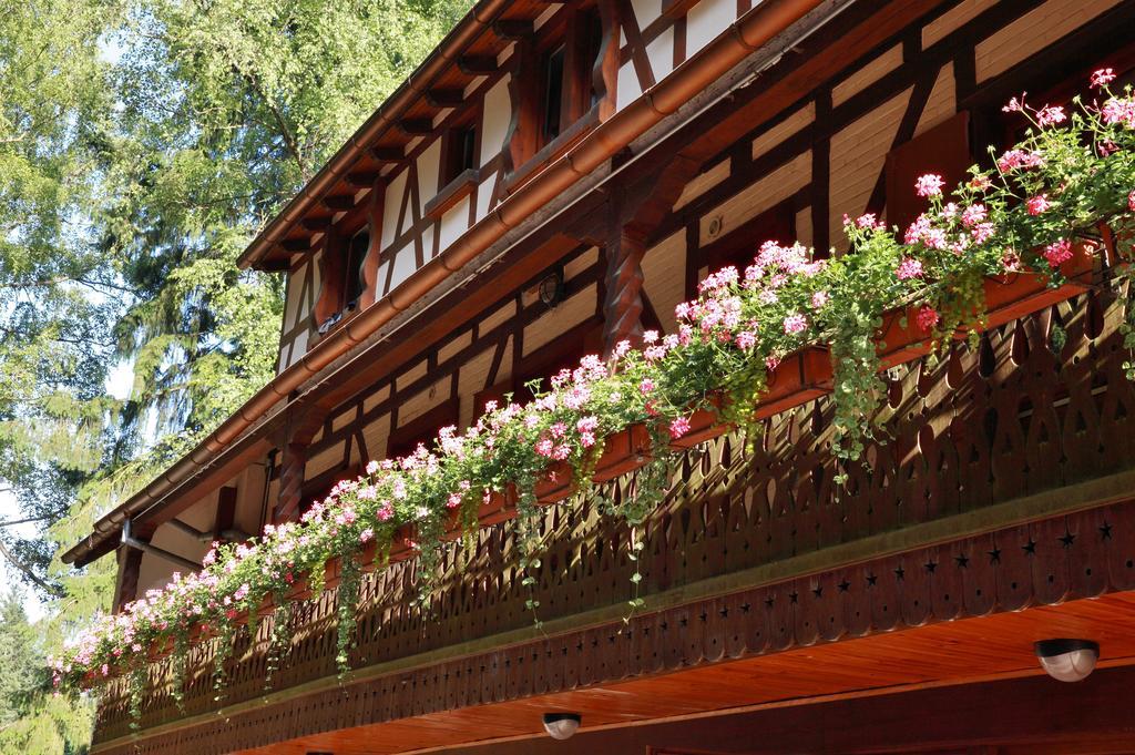 Hotel-Restaurant Du Chateau D'Andlau Barr Exterior photo