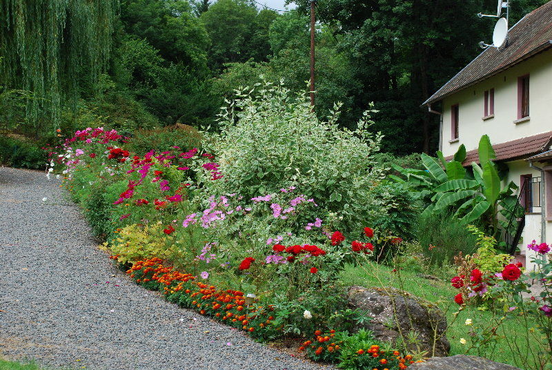 Hotel-Restaurant Du Chateau D'Andlau Barr Exterior photo